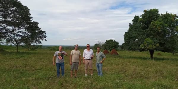 Sustainable Cannabis Farm in Malawi